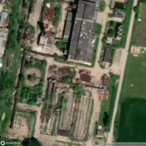 Large Abandoned Plant