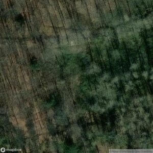 Little chalet in the forest