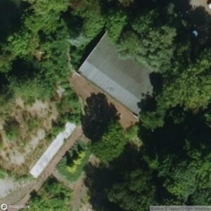 The remains of the Falcon